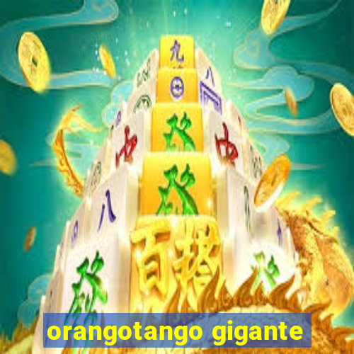 orangotango gigante